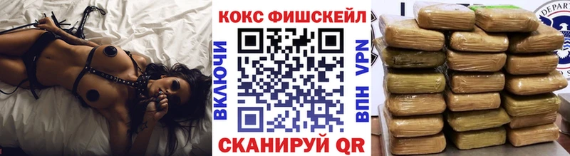 Купить закладки  Горнозаводск  Cocaine Fish Scale 