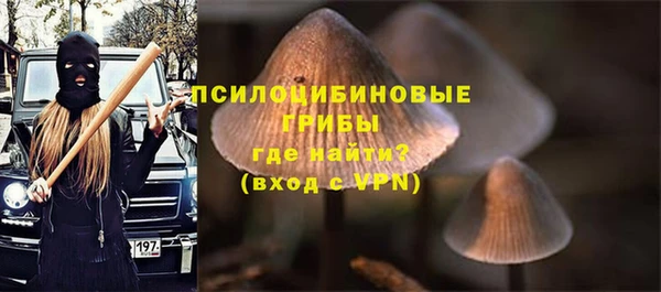 МДПВ Навашино