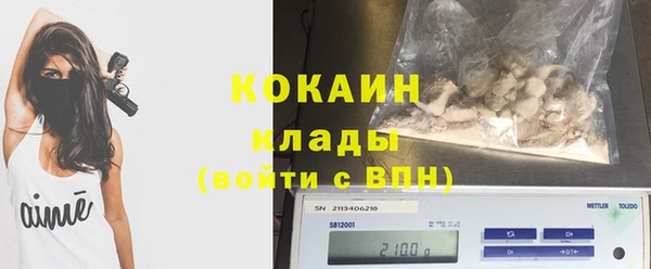 шишки Нижний Тагил