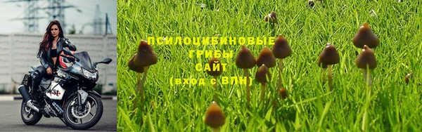 наркотики Михайловка